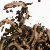 Wormery Composting wormery-composting