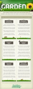 How to attract wildlife to your garden – Infographic