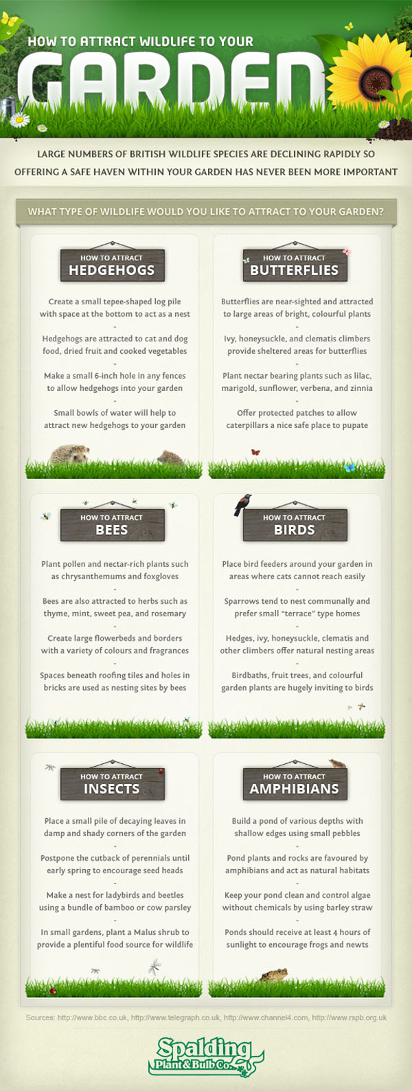 How to attract wildlife to your garden – Infographic