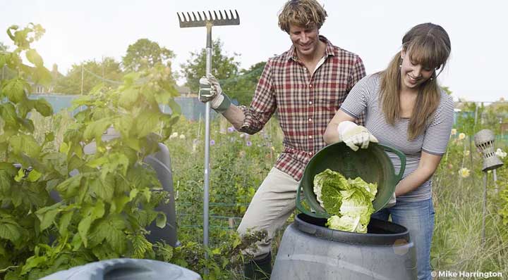 Compost Bins Reviews - banner