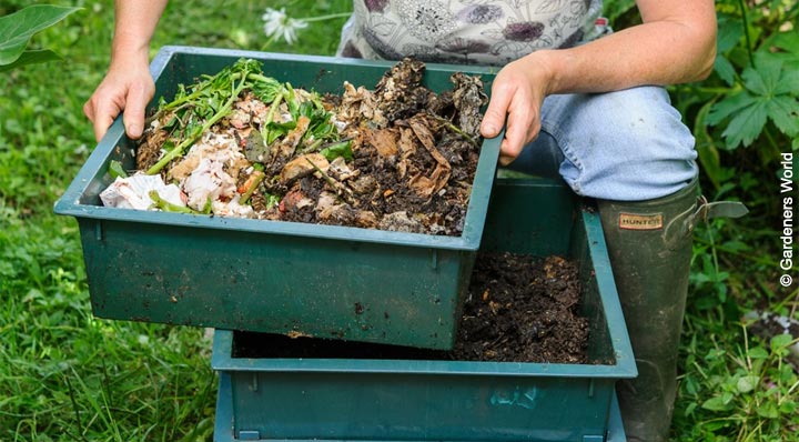 Wormery and a handfull of Composting Worms - Worms Love Your Scraps!