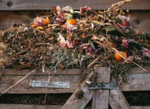 A Garden Compost Pile